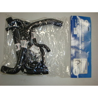 GATES RADIATOR &amp; HETER COOLANT HOSE PACK + H-CLAMPS HOLDEN VT VX VY 3.8L V6 ..