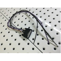 FUEL PUMP WIRING PLUG HOLDEN COMMODORE VT SERIES 2 V6 &amp; 5.7L WITH THE OVAL PLUG.